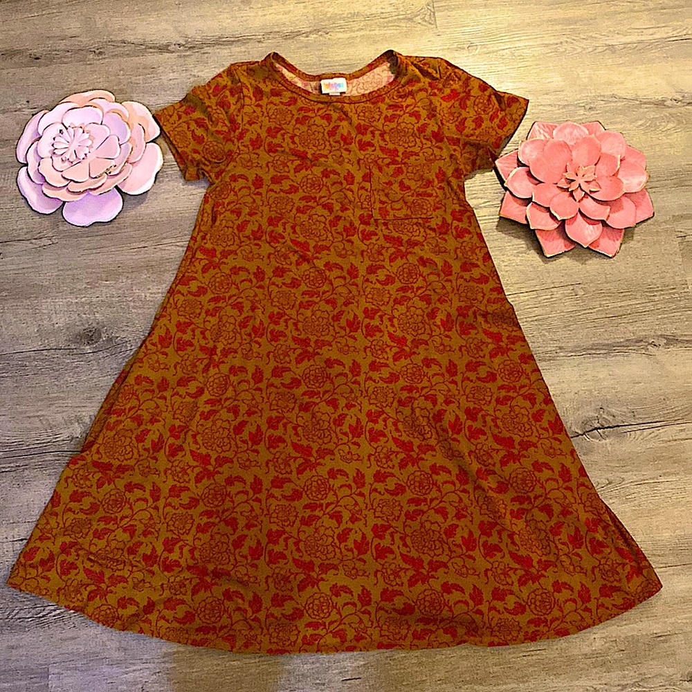 NWT (no tag) Lularoe Carly Dress XS